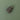 Messinkinen karhennettu nuppivedin | Antiikkimessinki | APIDAE Ø2 cm-Brass bee-Sasu’s sisustus- ja huonekaluliike