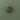 Messinkinen karhennettu nuppivedin | Antiikkimessinki | APIDAE Ø2 cm-Brass bee-Sasu’s sisustus- ja huonekaluliike