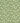 Moon Daisies Garden | non-woven tapetti | In the Garden