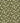 Moon Daisies Olive Colour | non-woven tapetti | In the Garden