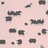 Nip & Lassie Confetti | non-woven tapetti | Storybook Papers
