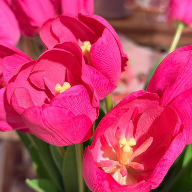 Pink Tulip Artificial Flower | ⌀5 x 50 cm