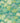 Rhododendron Walk Canton | non-woven tapetti | In the Garden