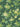 Rose Garden Puck | non-woven tapetti | In the Garden