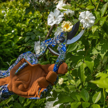 Sini-vihreät ohileikkaavat puutarhasakset | William Morris Snakehead