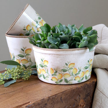 Limone Blossom Tray w. lemons and flowers H9.5/D16.5 cm cream