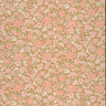 Spring Flowers Bombolone | non-woven tapetti | National Trust Papers IV