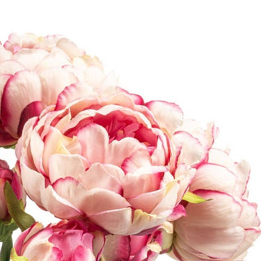 Pink Peony Everlasting Flower Bouquet | ⌀22 x 50cm