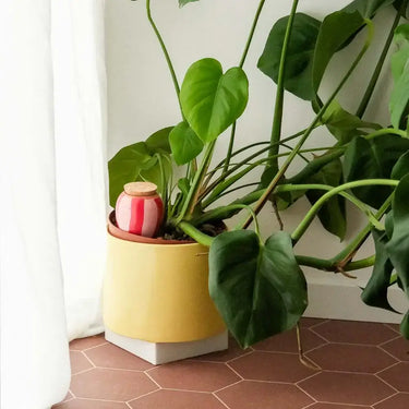 White-pink terracotta watering bulb | 2.5 dl | Olla
