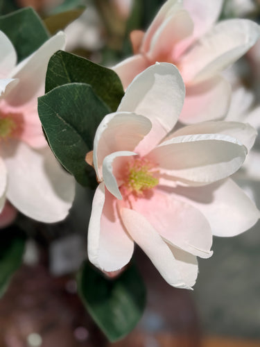 White magnolia branch | ⌀12 x 68cm