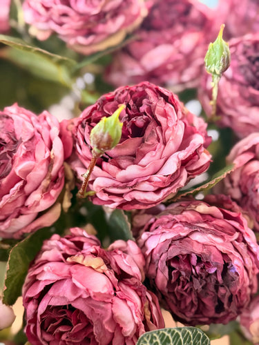 Old rose shade | ⌀7 x 45 cm